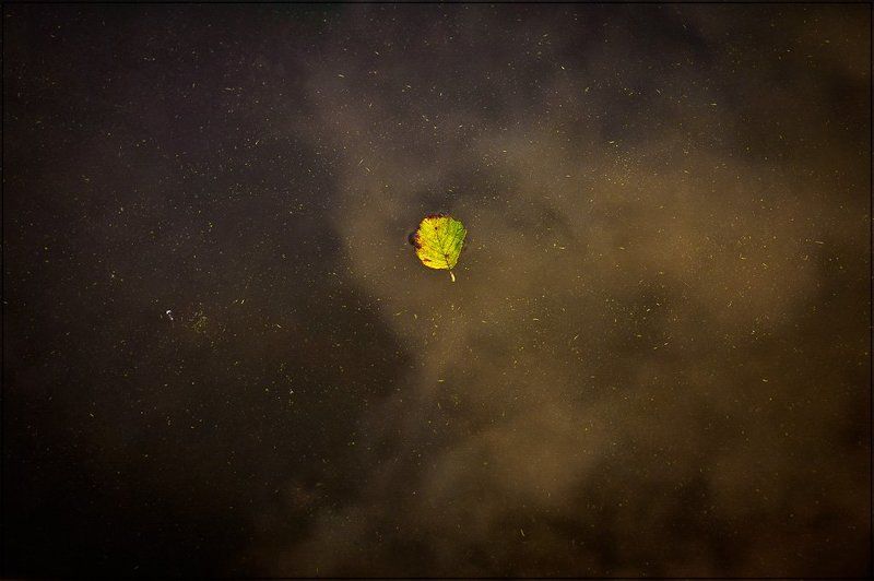 осень, лист Осенний Лист...photo preview