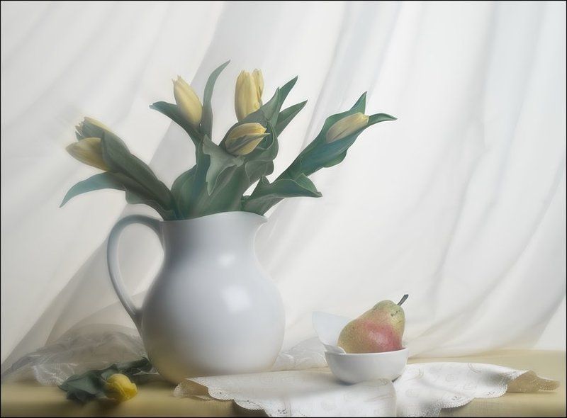 Тюльпаныphoto preview