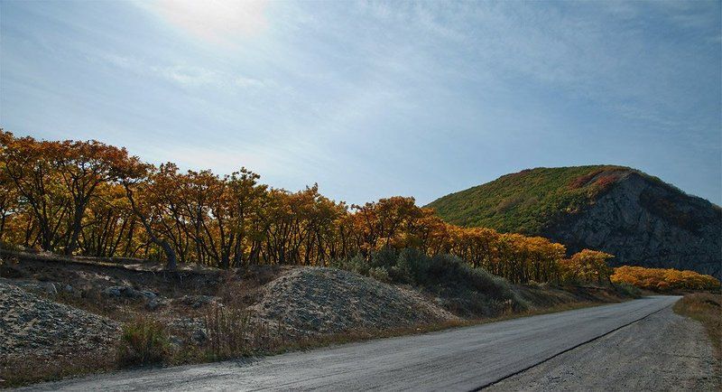 осень, дорога Дубраваphoto preview