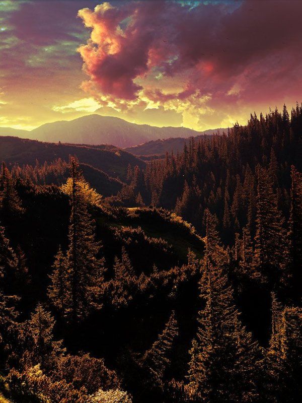 шпыци photo preview