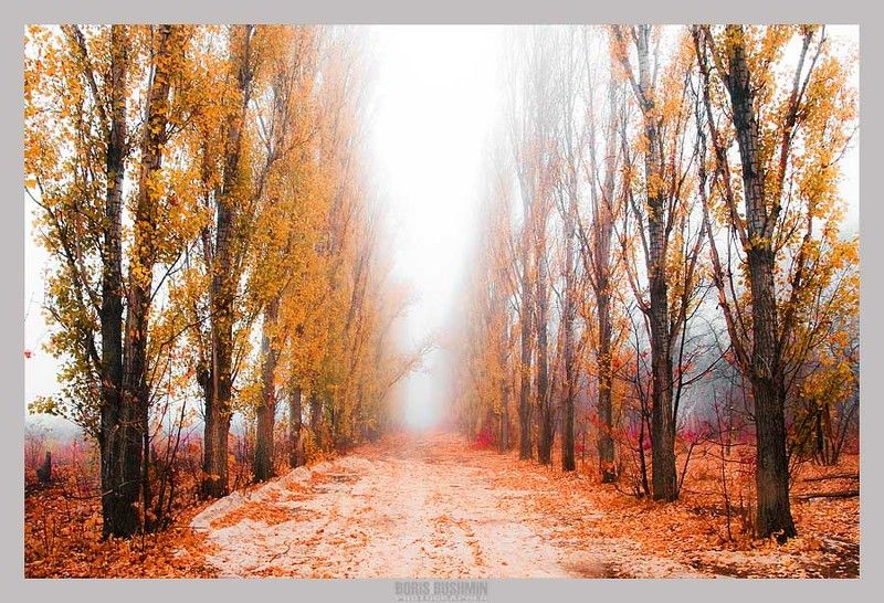 Краски осениphoto preview