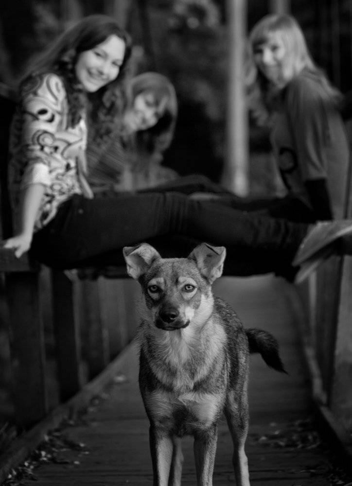 Девичьи игры. Автор: Александр Титаренко , Александр Титаренко