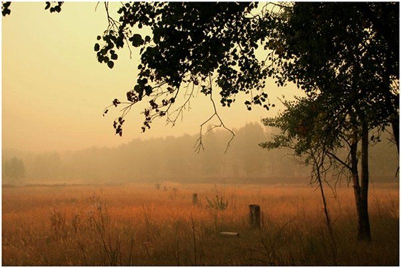 знойphoto preview