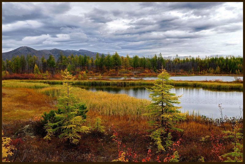 Осеннее торжествоphoto preview