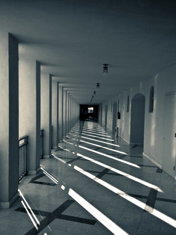 Геометрия. О диагоналях.photo preview