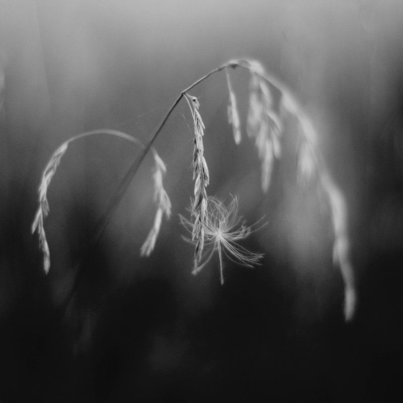 Искра пробежала между ними...photo preview