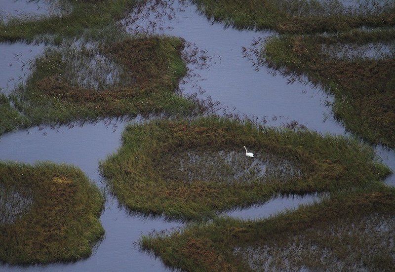 вертолет, Пейзаж, Полет, Север, тикси, Тундра, якутия Полет у края землиphoto preview