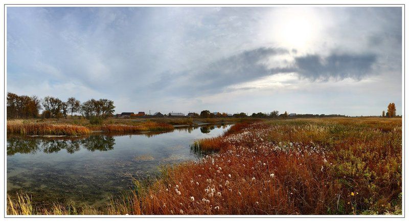 хакасия СЕЗОН ЦВЕТУЩЕГО КАМЫШАphoto preview