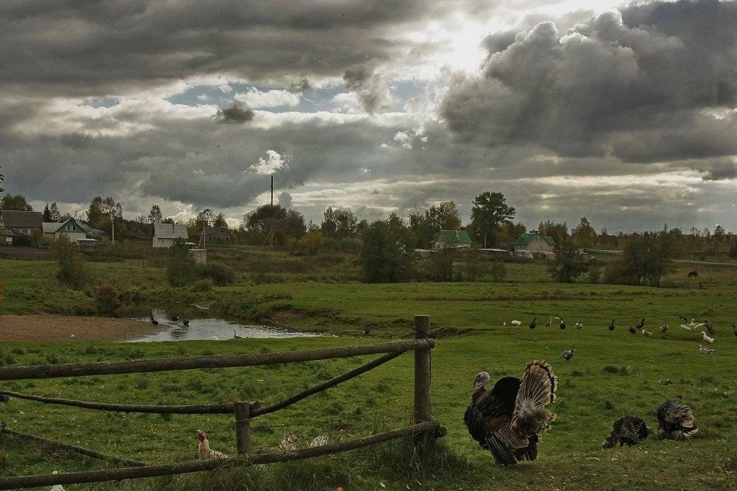 , Валерий Кондратов