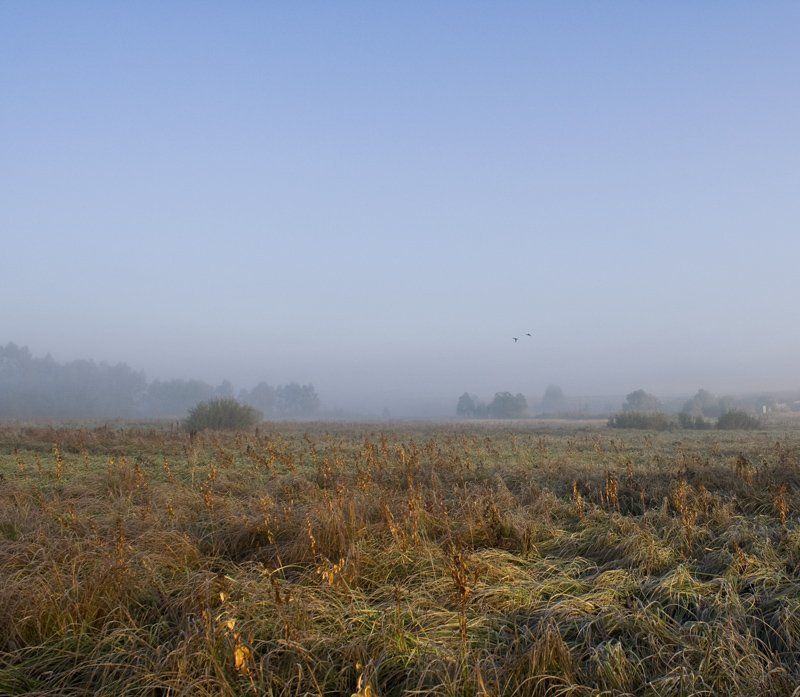 осень, утро, туман утроphoto preview