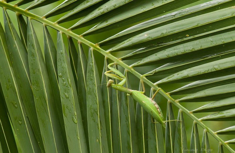 Продавец жалюзиphoto preview