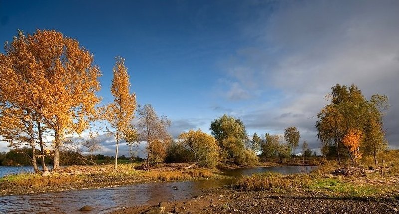 autmn...photo preview