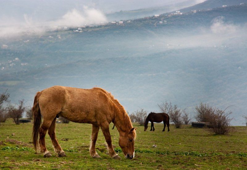 Человеку здесь не место...photo preview