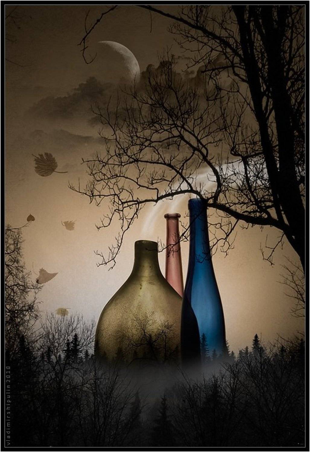 колдун,сказка,сказки,волшебство,сагия,джин,джины,дерево,деревья,туман,туманы,дым,владимир,шипулин, Vladim_Shipulin