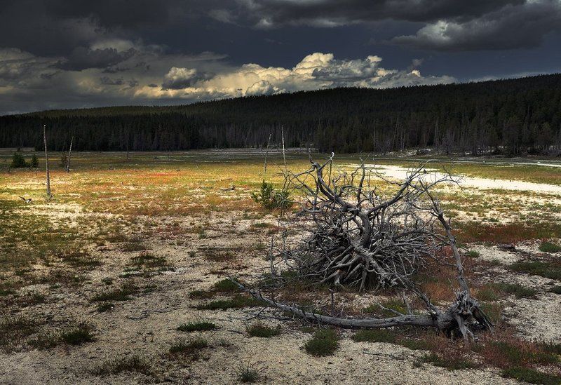 пейзаж, природа Пейзаж со светом 3photo preview