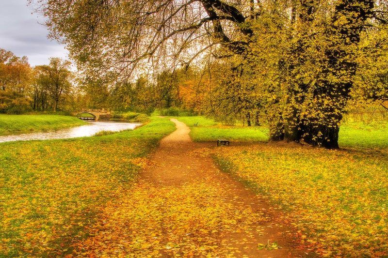 Золотая осеньphoto preview