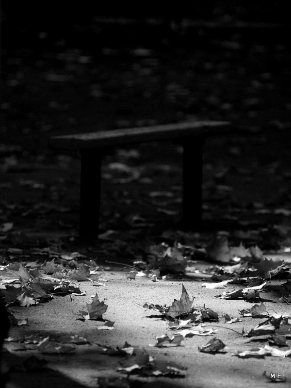 все краски осениphoto preview