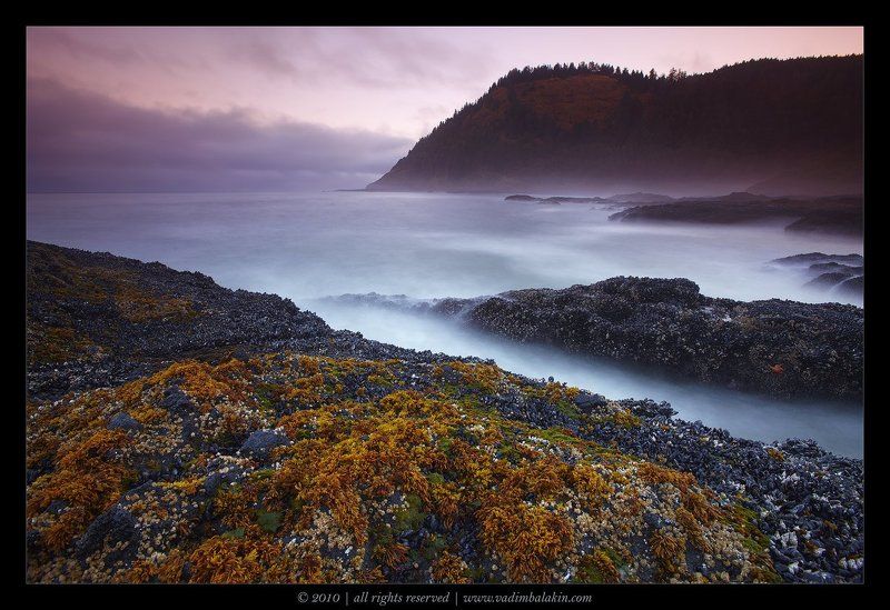 Cook\'s Chasmphoto preview