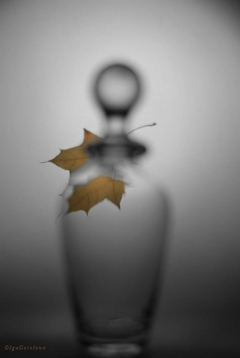 фото, лист, натюрморт, стекло, осень, Ольга Горелова