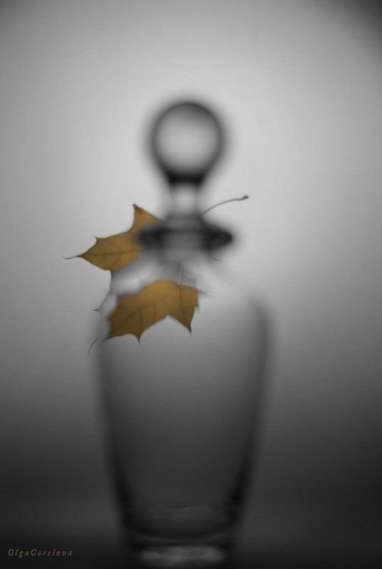 фото, лист, натюрморт, стекло, осень глоток осени 5 фото превью