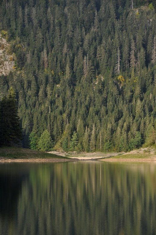 отражение, озеро черное, Отражениеphoto preview