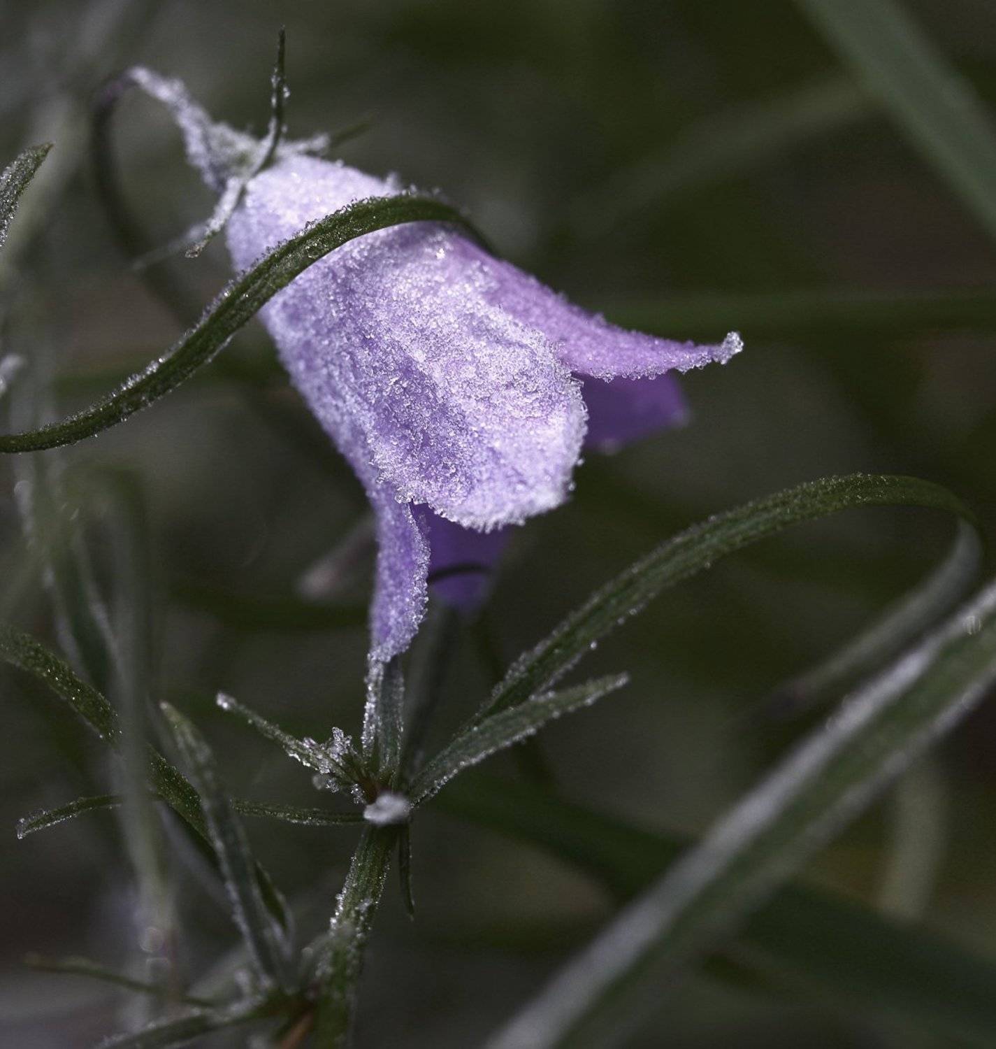 , Юлия Новохатько