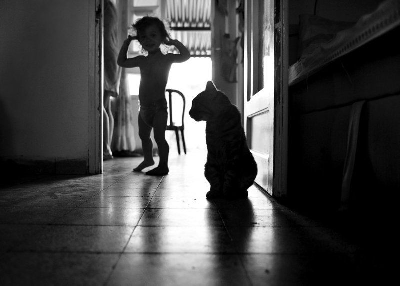 марк, кот, комната, силуеты Двое в комнатеphoto preview