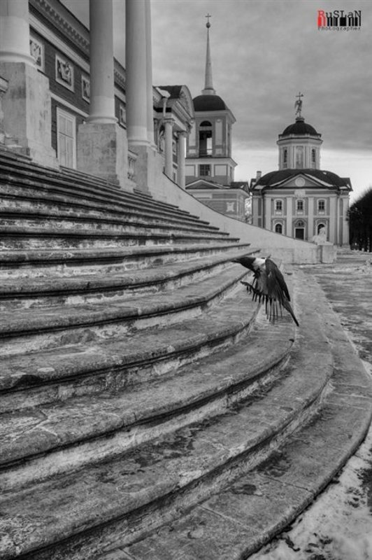 усадьба, «кусково» Up the stairsphoto preview