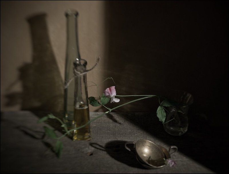 lensbaby Натюрморт с горошкомphoto preview