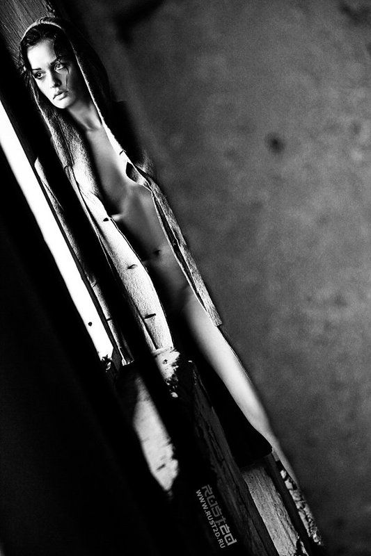 Diagonal Portraitphoto preview