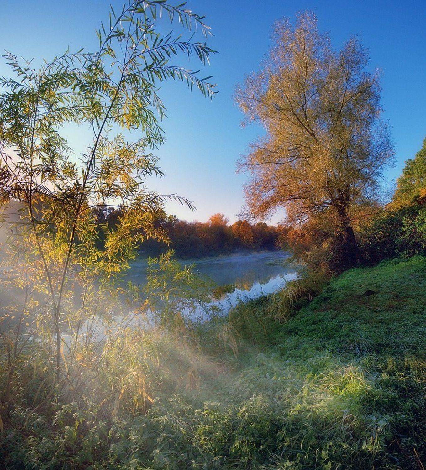 , Артур Абидинов