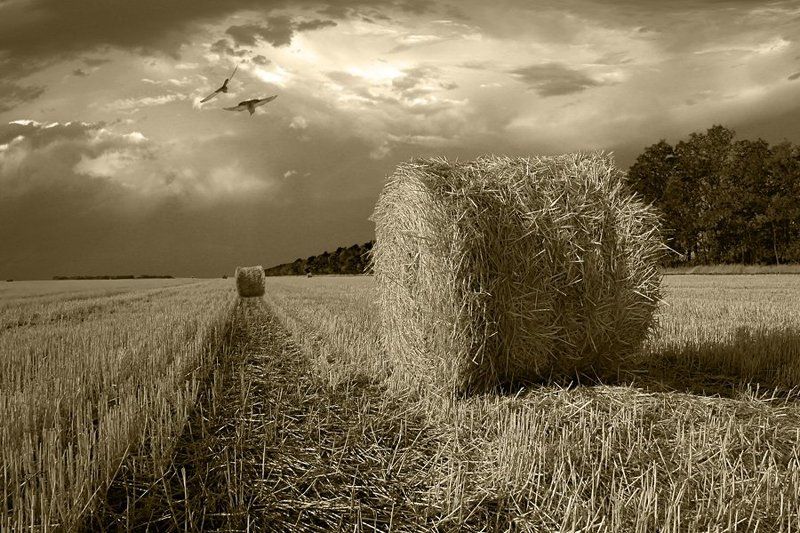 Пейзажphoto preview