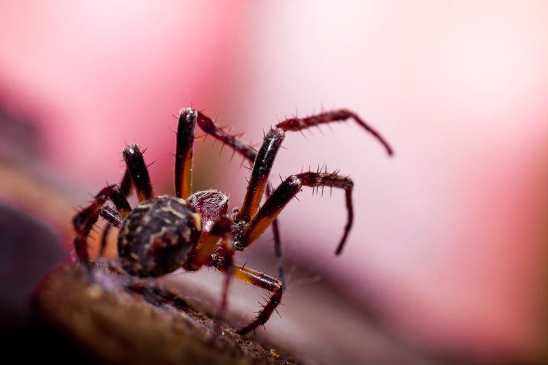 Стойкаphoto preview