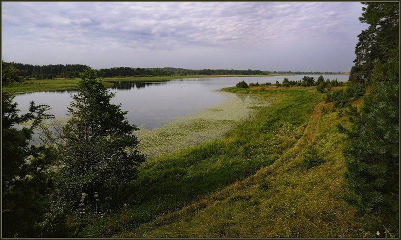 озеро, недрово, лес, облака, небо, тропинка, слободка, браслав, белорусь Озеро Недровоphoto preview
