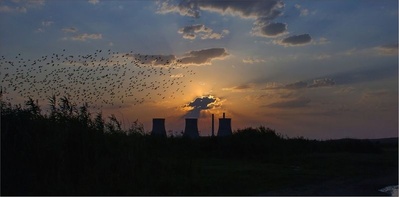 природа ***photo preview