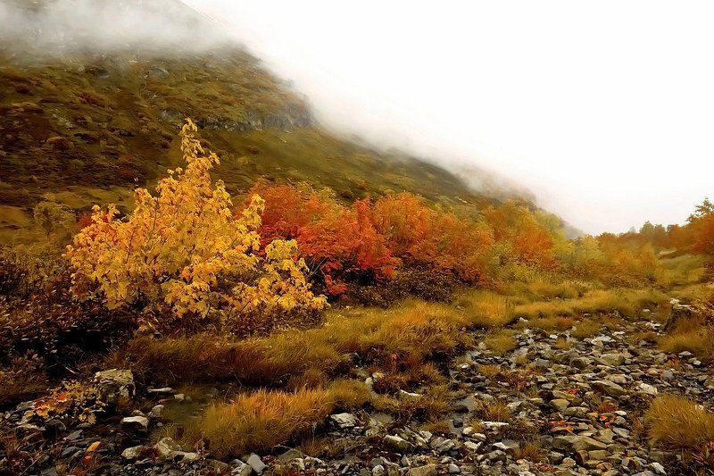 ЗНАЮ Я ЕСТЬ КРАЯ.....photo preview