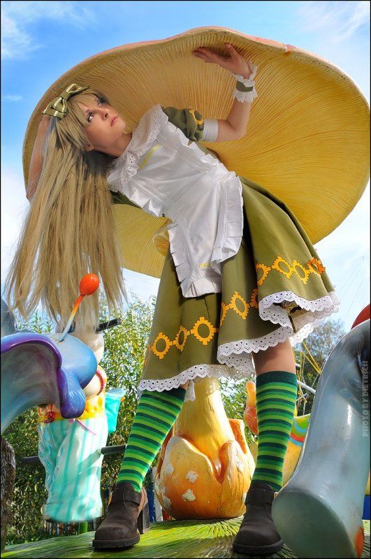 Under the mushroomphoto preview