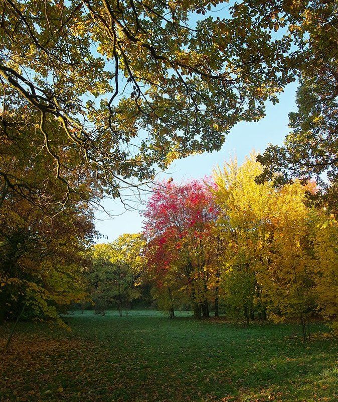 как то по утру... фото превью