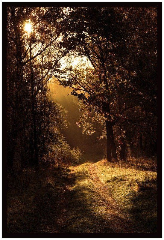 сентябрь, осень, утро photo preview