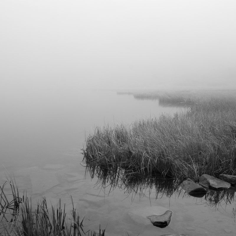 тишинаphoto preview