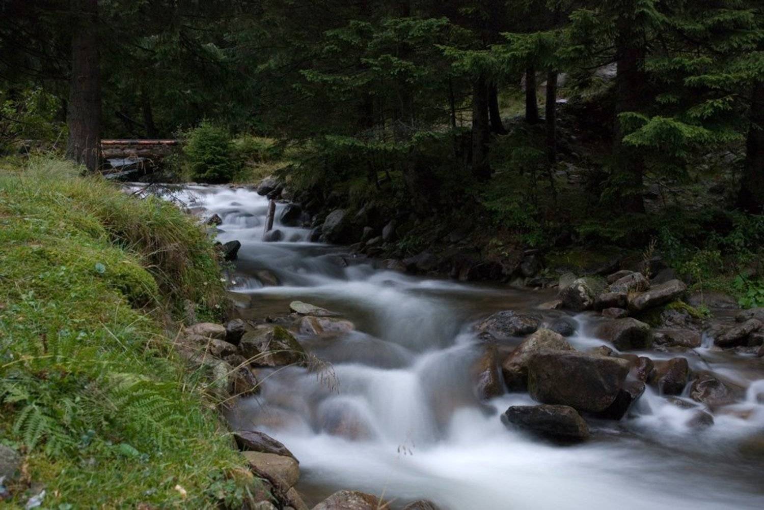 , Павел Лёушкин
