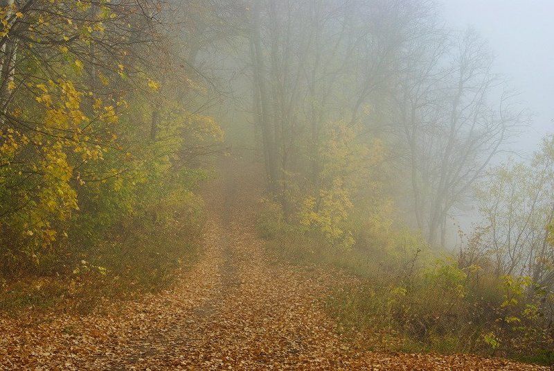 Тишинаphoto preview