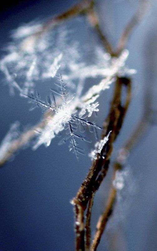 снежинка Линии декабряphoto preview