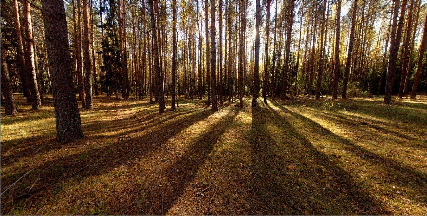 , Клюшкин Юрий