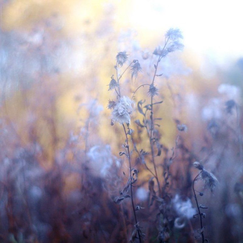 Последняя песняphoto preview