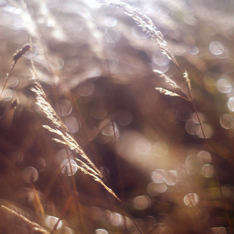 Холодное утро октябряphoto preview