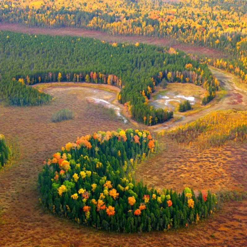 мотопараплан, сибирь, осень. Урманphoto preview
