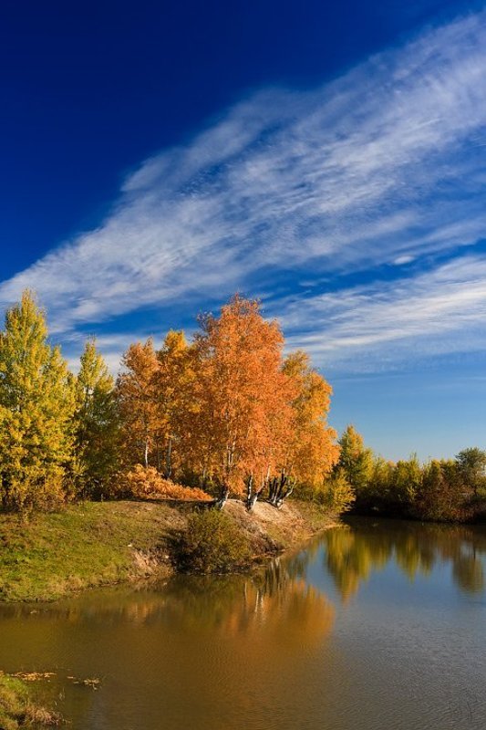 осень * * *photo preview