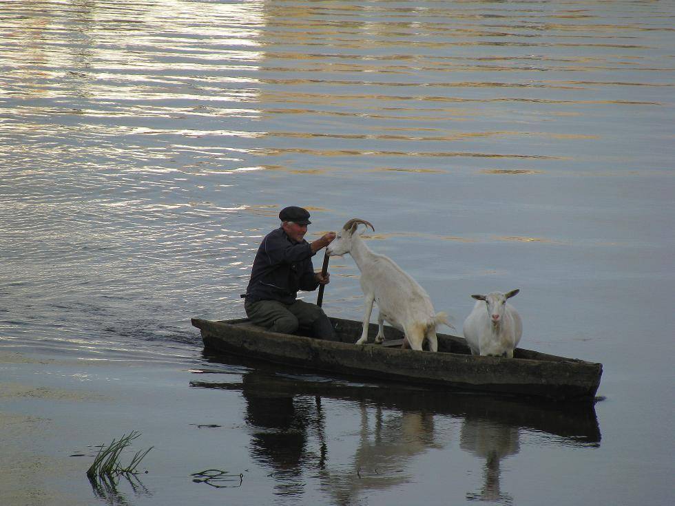 Только деда люблю. Автор: Валерий Кондратов , Валерий Кондратов