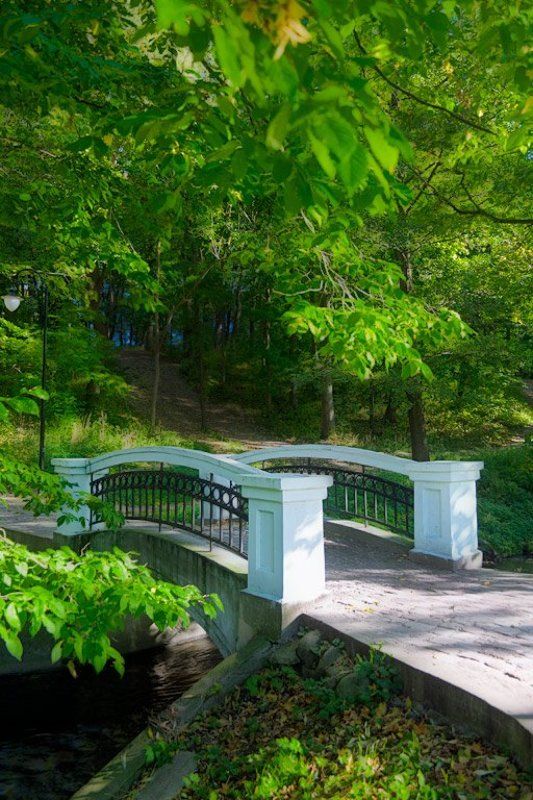 Чуть-чуть осеннелоphoto preview